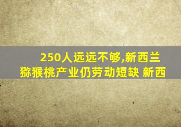 250人远远不够,新西兰猕猴桃产业仍劳动短缺 新西